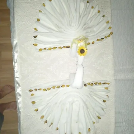 Vikendica Nema Dalje Gradacac